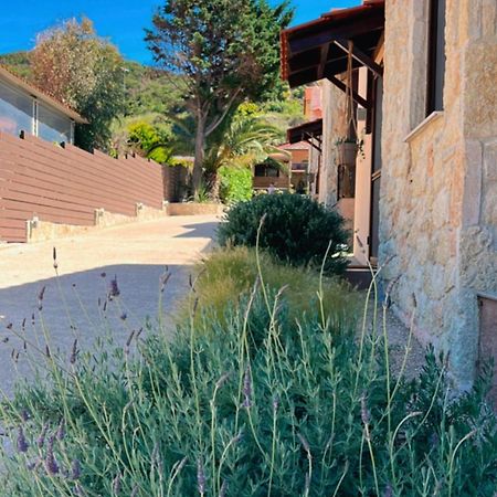 Palma Seaside Villa 1 Sarti Eksteriør bilde
